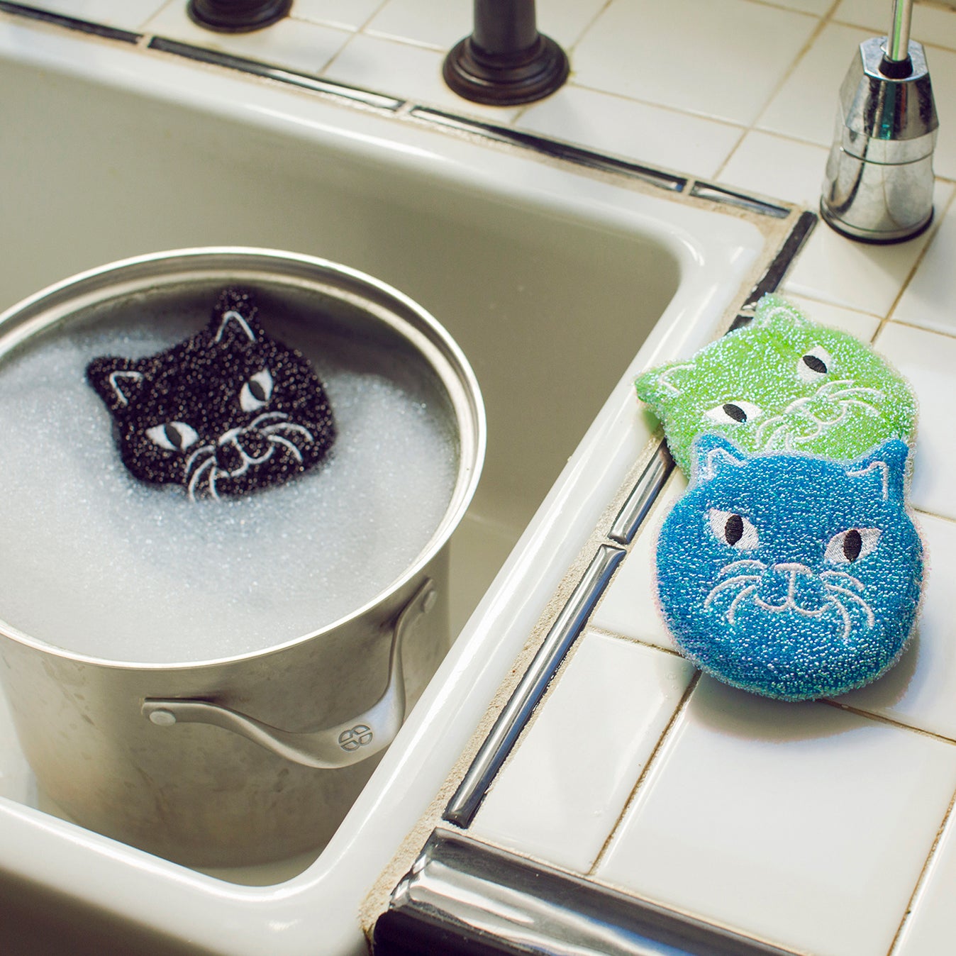 Cat Sponges Set of 3